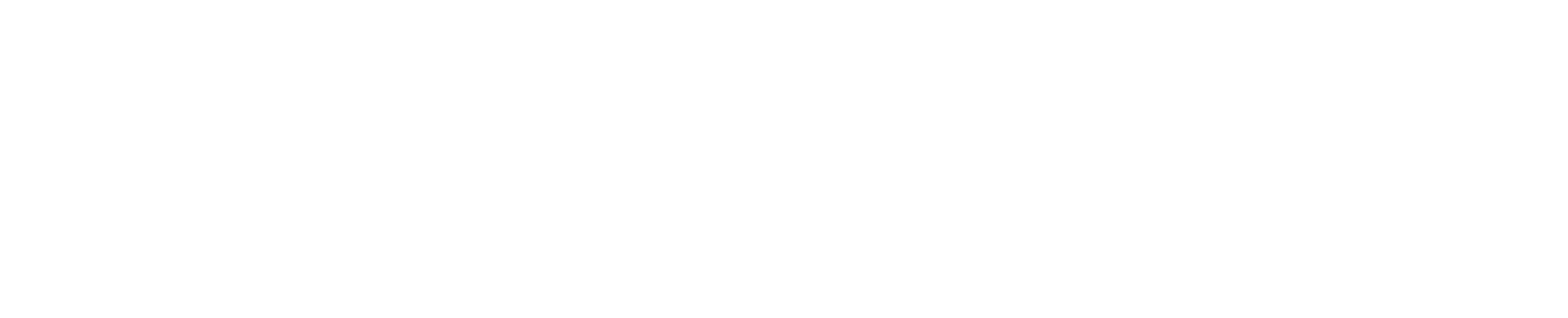 Katana 9.0 Logo_White
