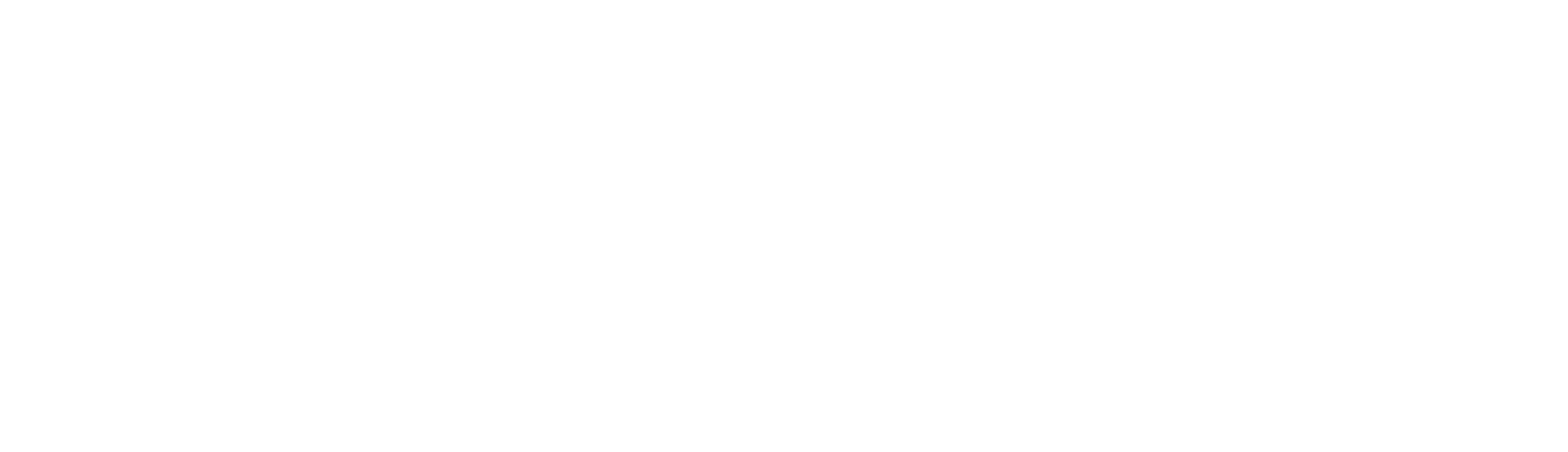 Nuke 17 Logo