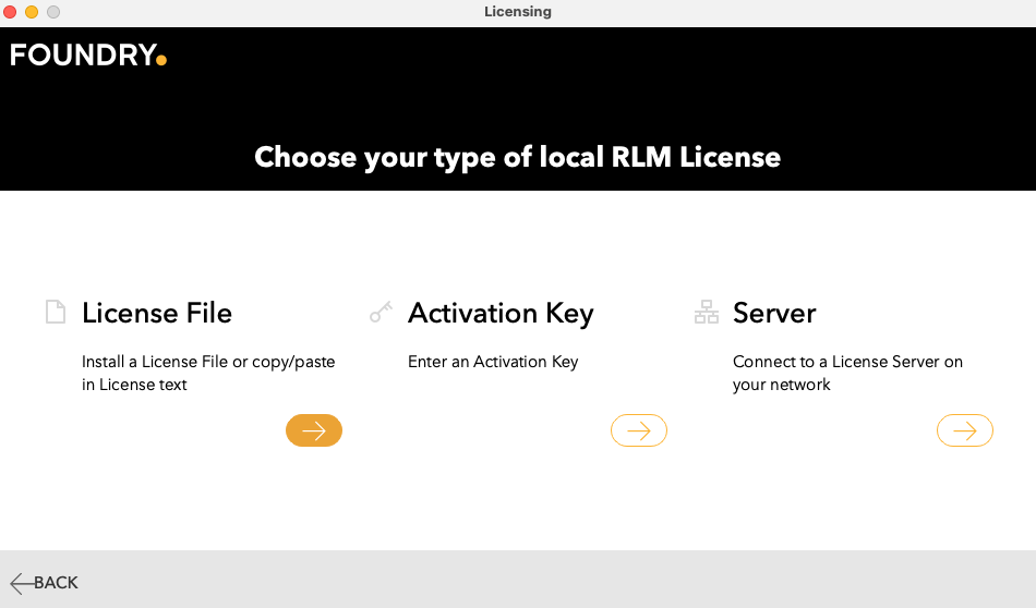 RLM license type dialog